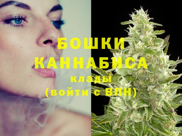 соль ск Балахна