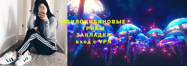 соль ск Балахна