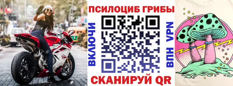 Галлюциногенные грибы Psilocybine cubensis  Вятские Поляны 